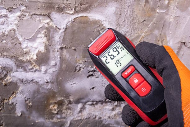Best Toxic Mold Removal  in Bel Nor, MO
